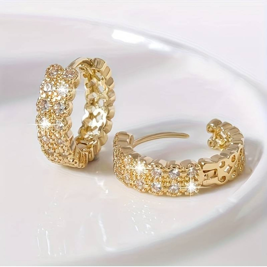 Elegant Earrings Brilliant Noble Earrings