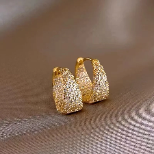 Elegant shiny basket earrings